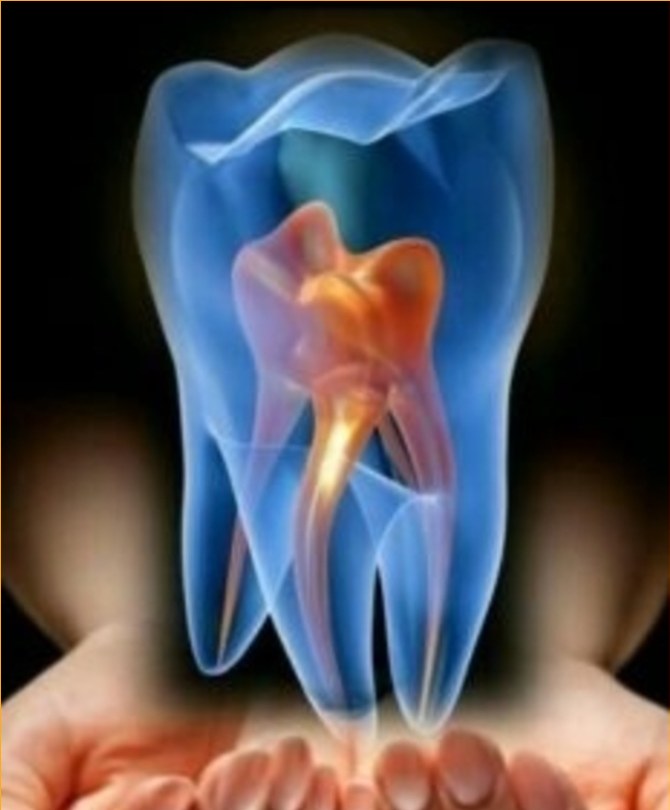 Imagen dental
